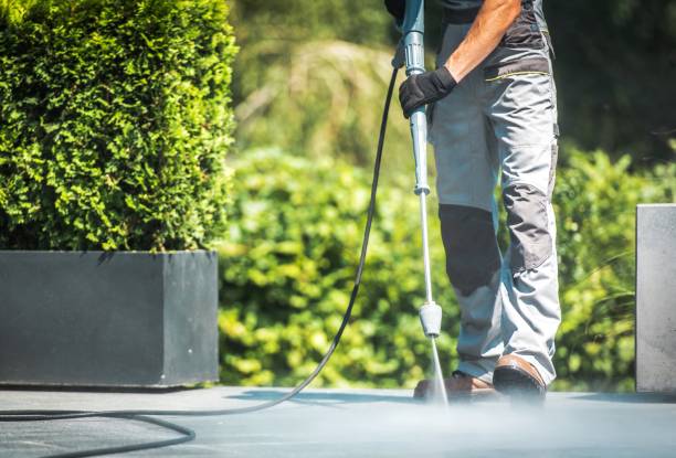 Best Spring Cleaning  in Falconer, NY
